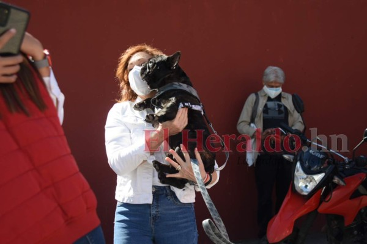 Luis Zelaya llega a votar junto a su esposa y su perrita Kemba (FOTOS)