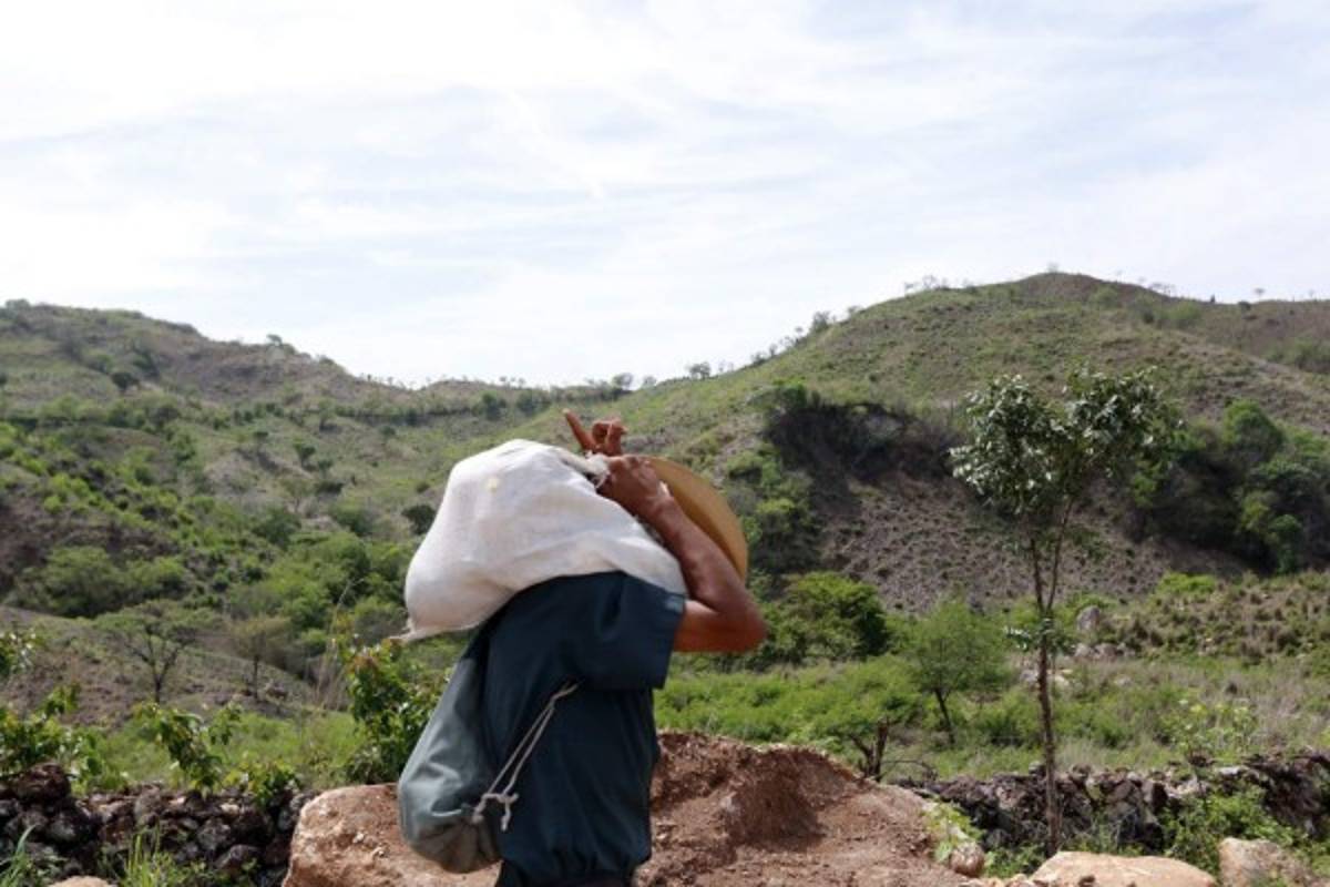 Hambre acecha en Texíguat