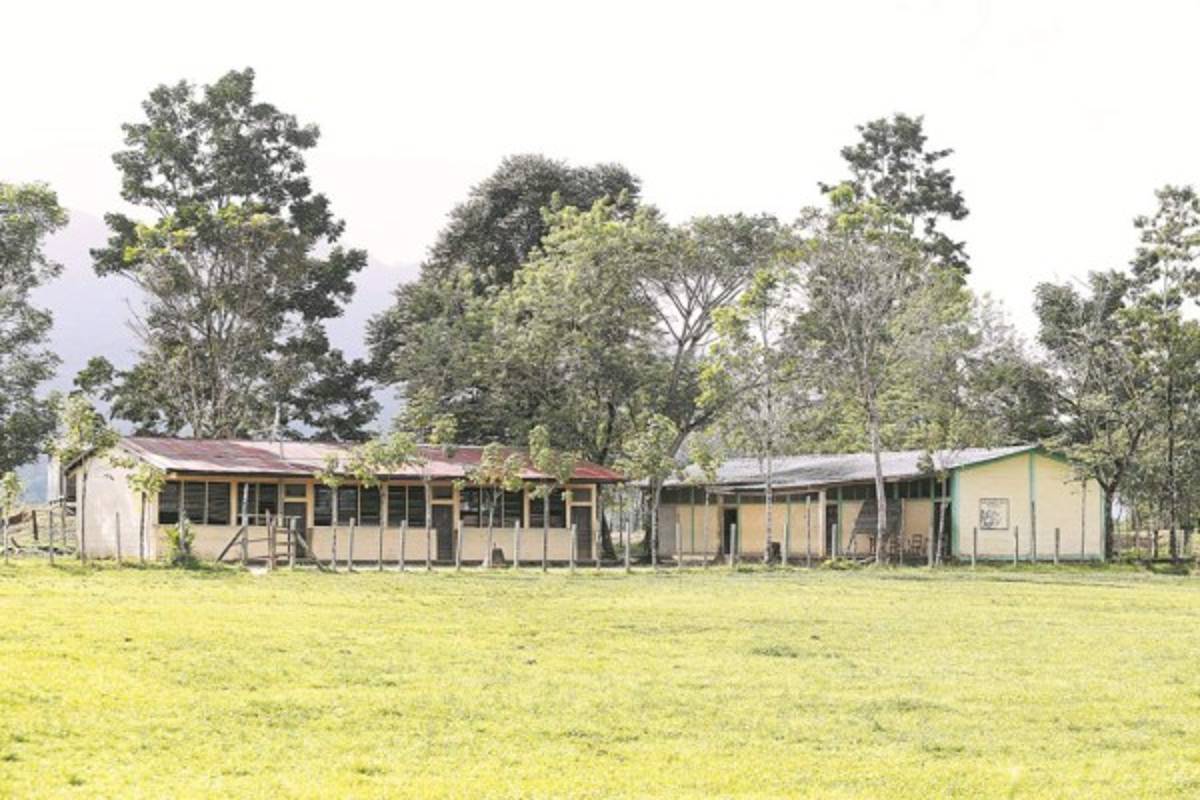 Noble padrino de la luz y del saber