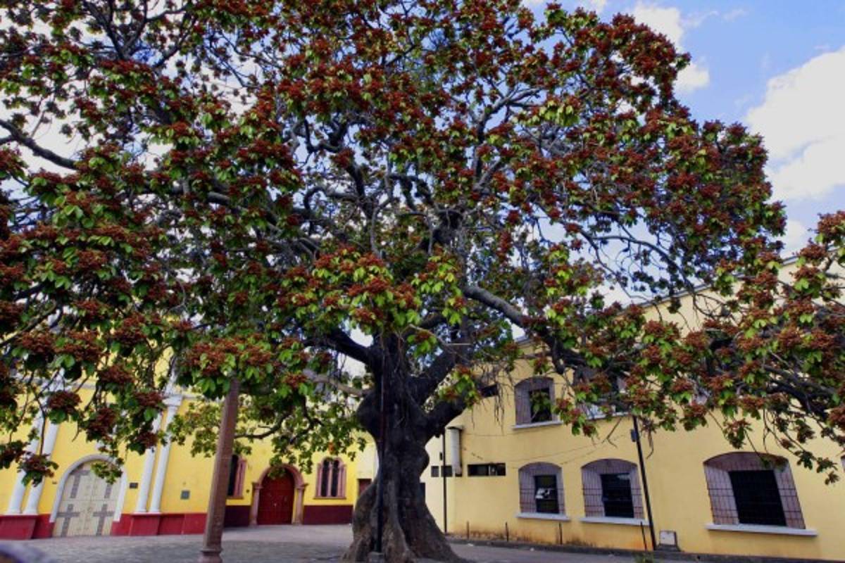 El Barrio Abajo, recinto antiguo y cuna cultural de la capital del país