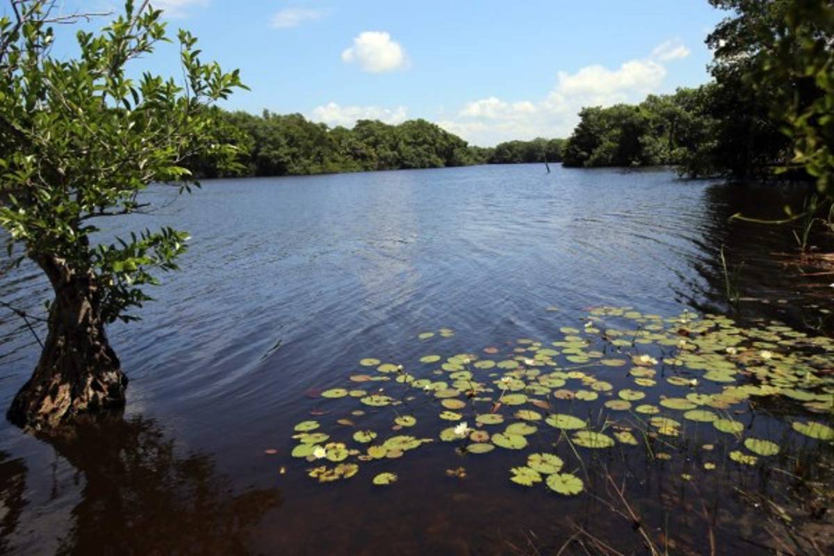 Recarga de adrenalina en El Río Plátano