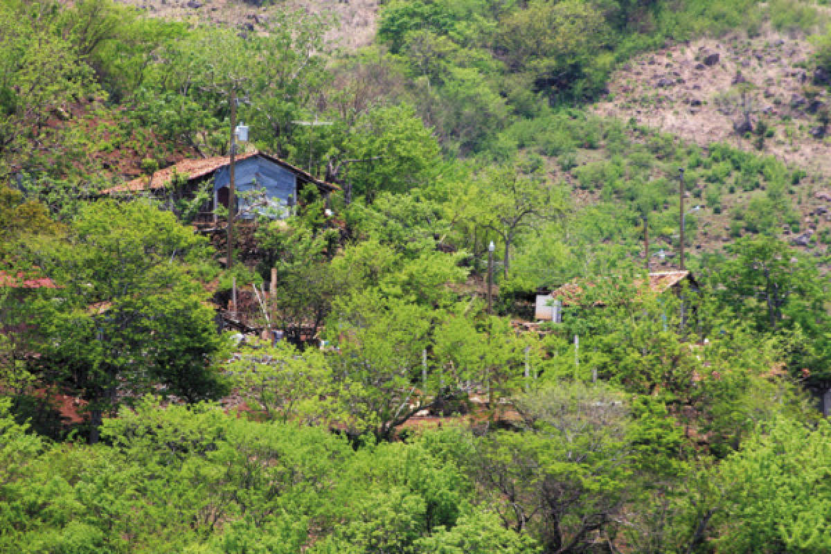 Áreas protegidas de la zona sur de Honduras son asediadas por litigios