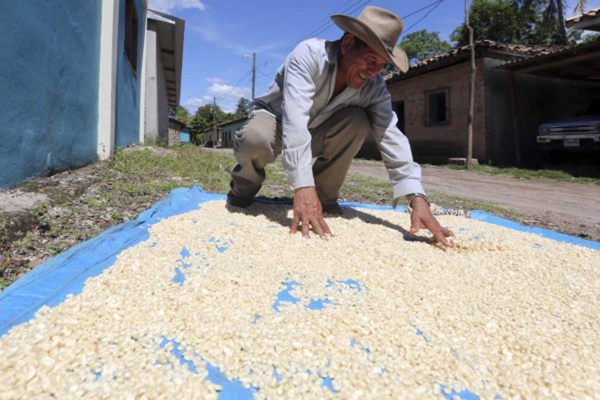 Humuya y Alubarén ganan la batalla contra la violencia
