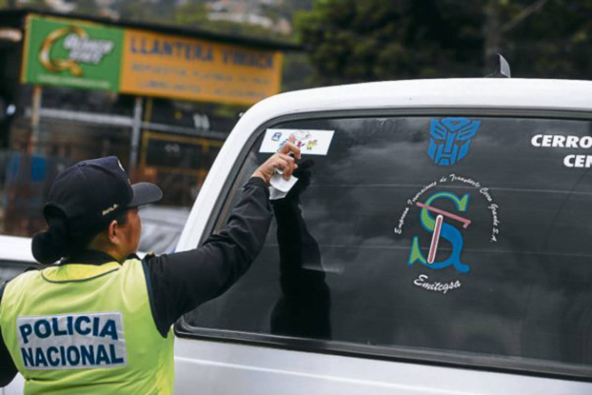 Campaña a favor de la paz