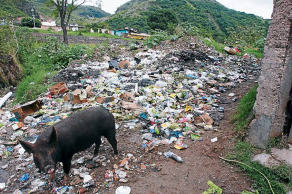 No controlan botadero en el barrio Abajo de Tegucigalpa