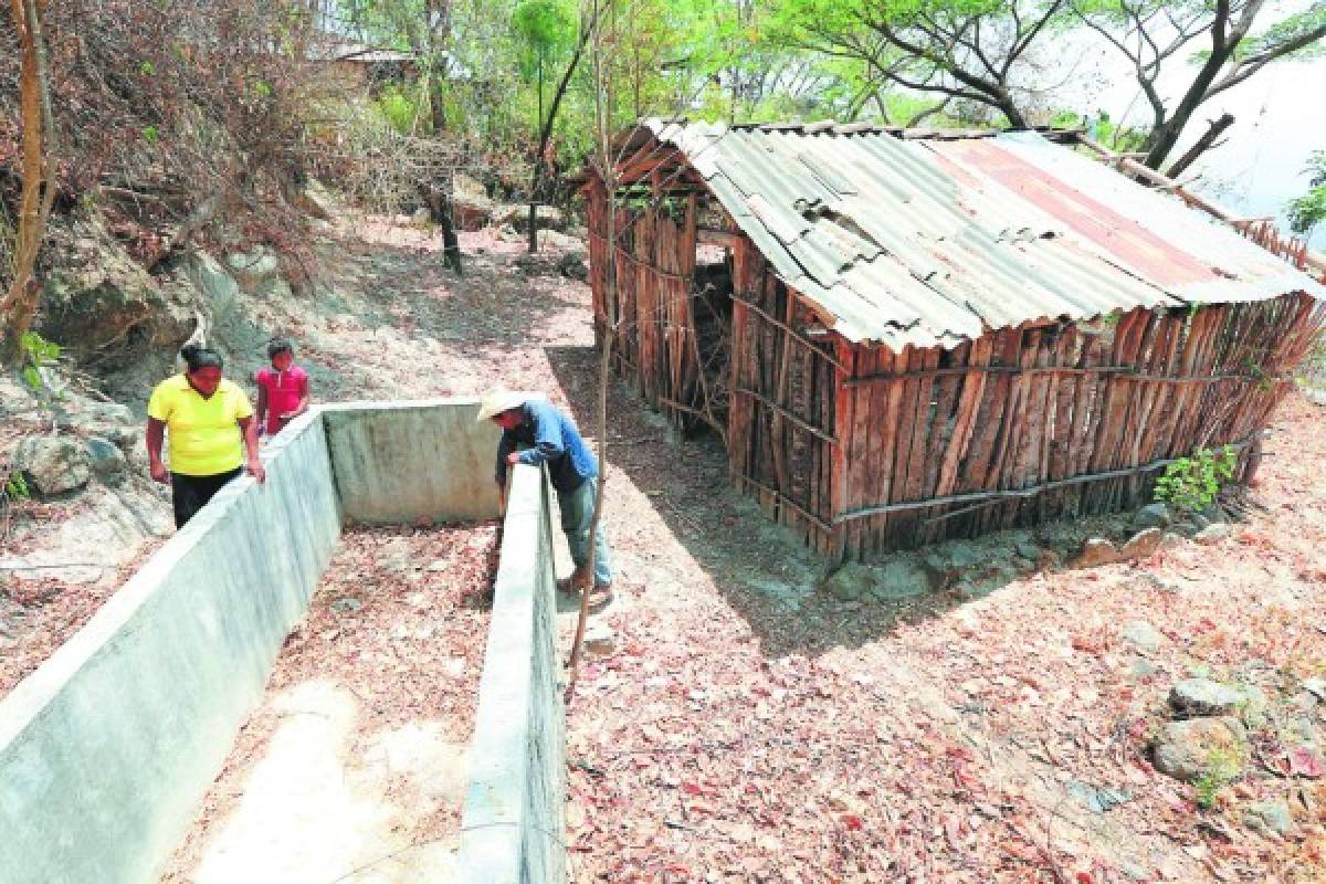 Unos 40 mil hondureños afectados por sequía