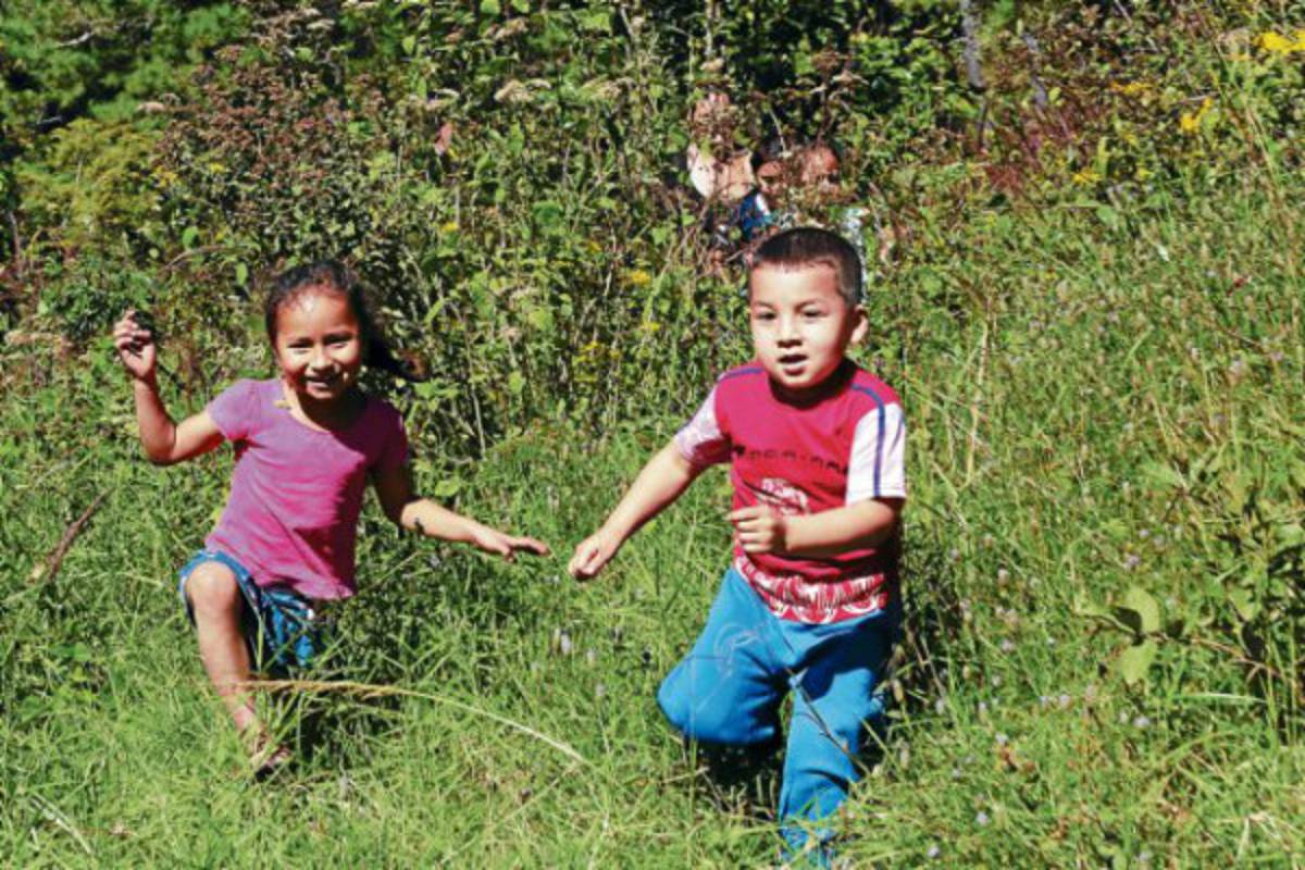 Regresamos por nuestros nobles niños