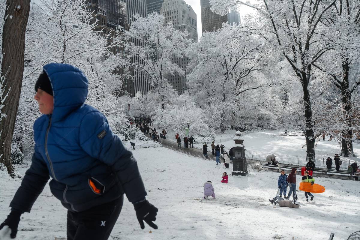 Tormenta de nieve afecta Nueva York: vuelos suspendidos y alerta en los cinco distritos