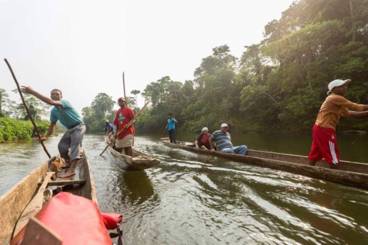 BG Group Shell se prepara para comenzar fase de perforar pozos en La Mosquitia