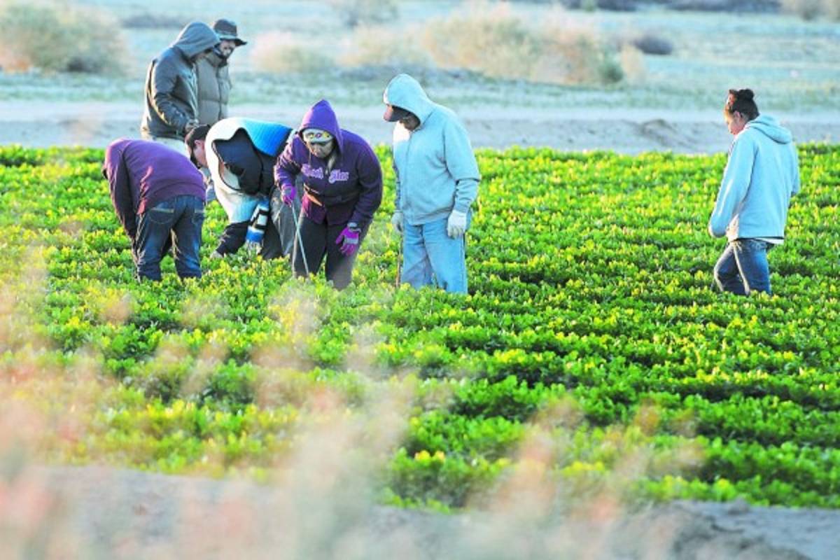Unos 900 mil hondureños viven en Estados Unidos