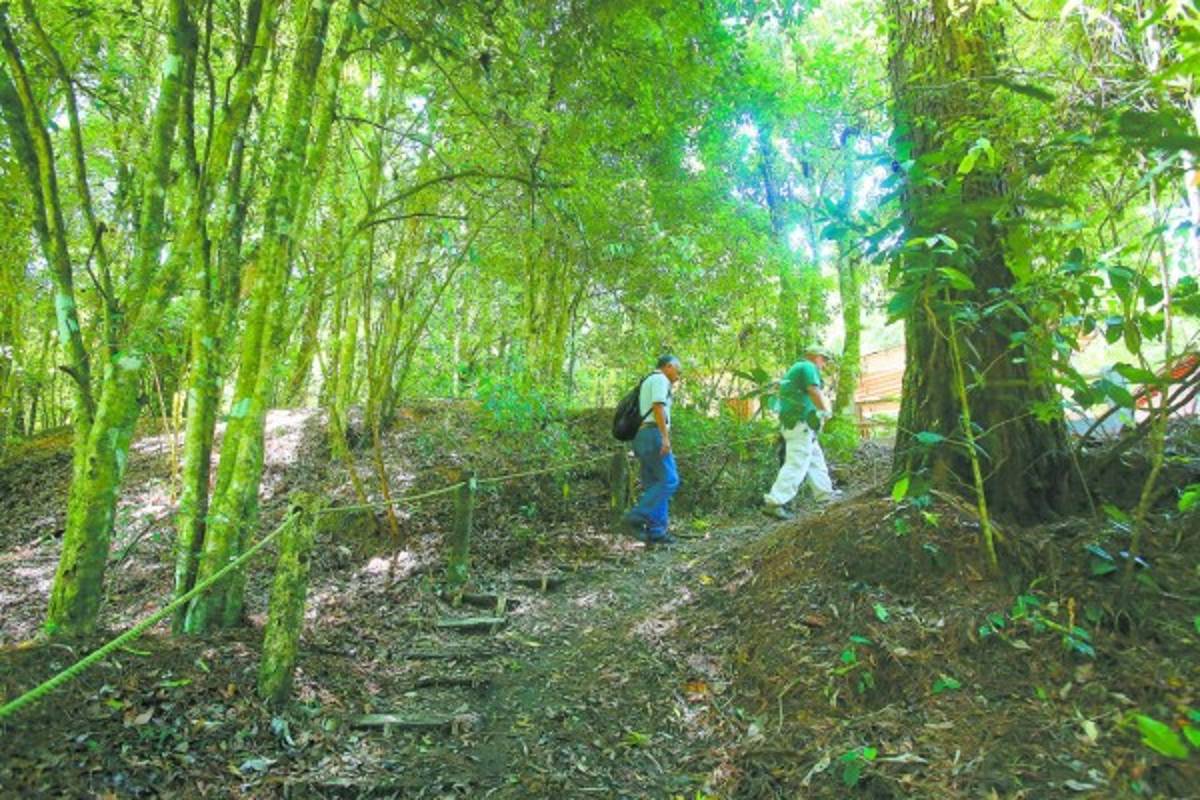 Honduras: Listo plan contra incendios