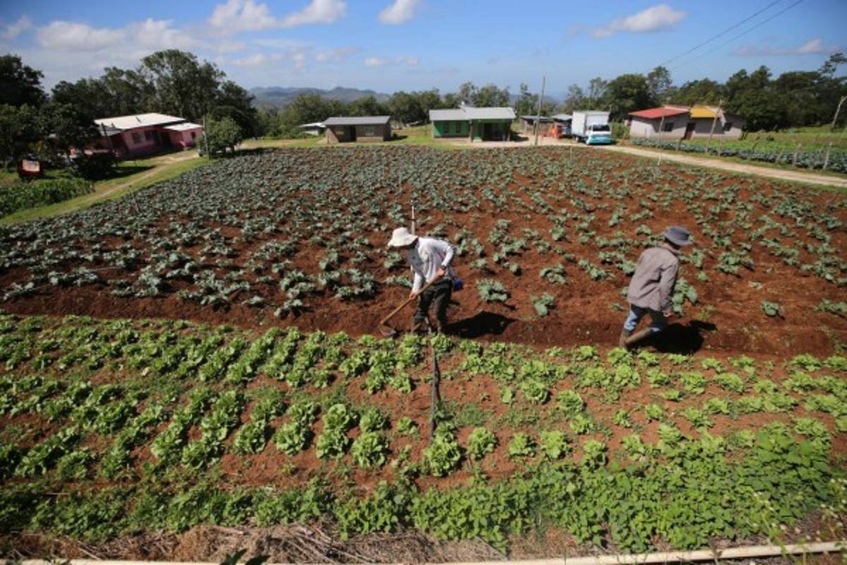 Destrozada red vial atrasa desarrollo en Lepaterique