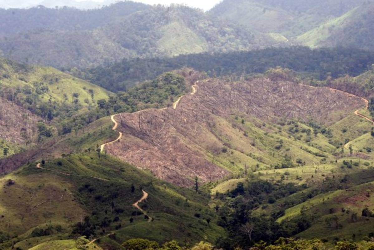 Intervienen por daños la Biósfera del Río Plátano