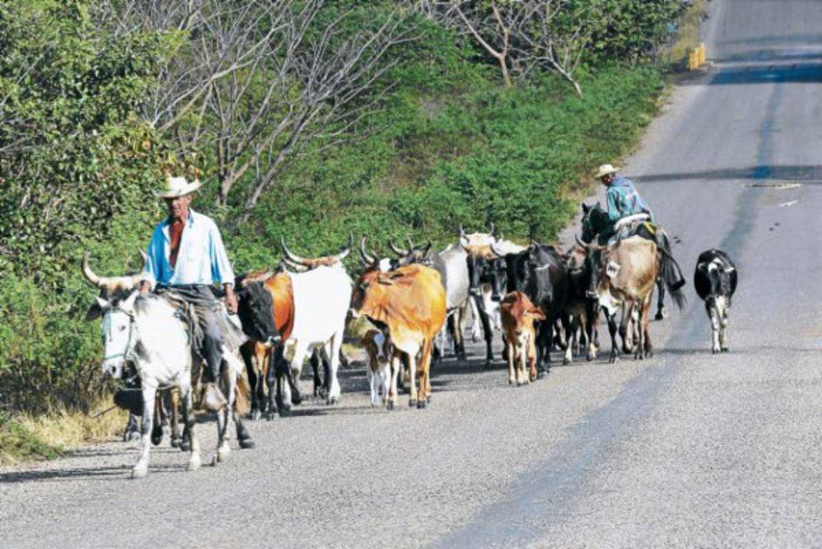 El agua bendita que baña Morocelí