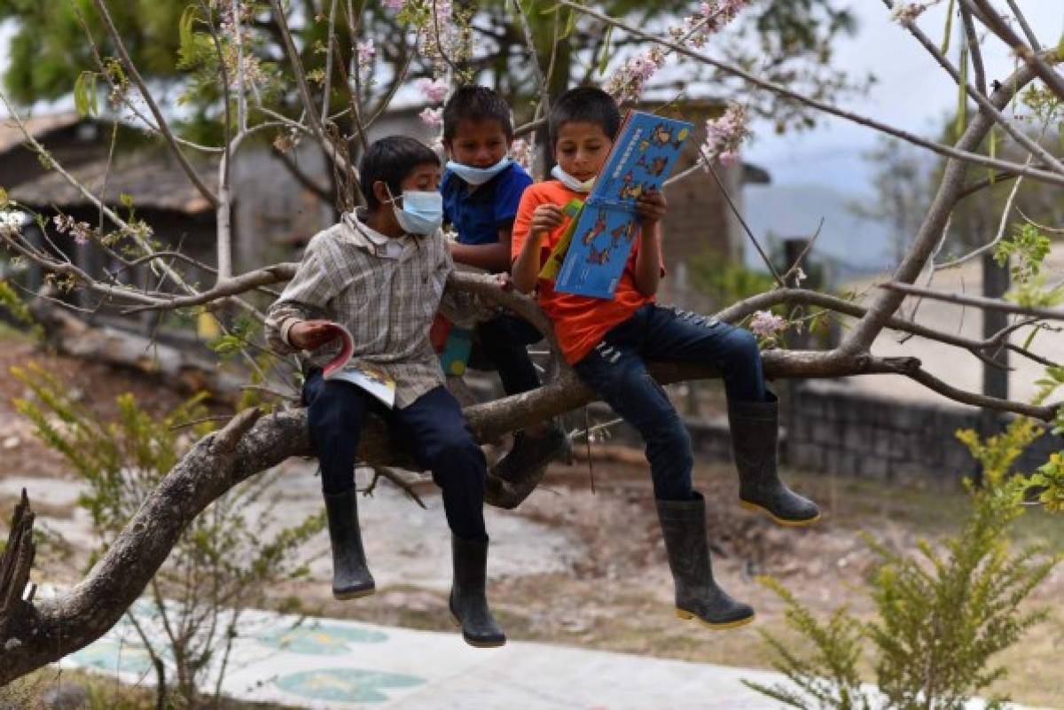 El disfrute de la lectura para los niños que tienen acceso a las 36 Bibliotecas Blue Lupin es algo que se ha dado gracias a un programa amigable, que no les inculca la lectura académica y/o utilitaria, sino la lectura creativa. Foto: Ulises Alvarado.