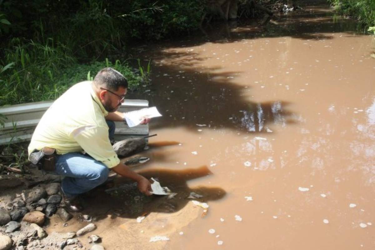 Investigan la muerte de peces en dos ríos de la Villa de San Antonio