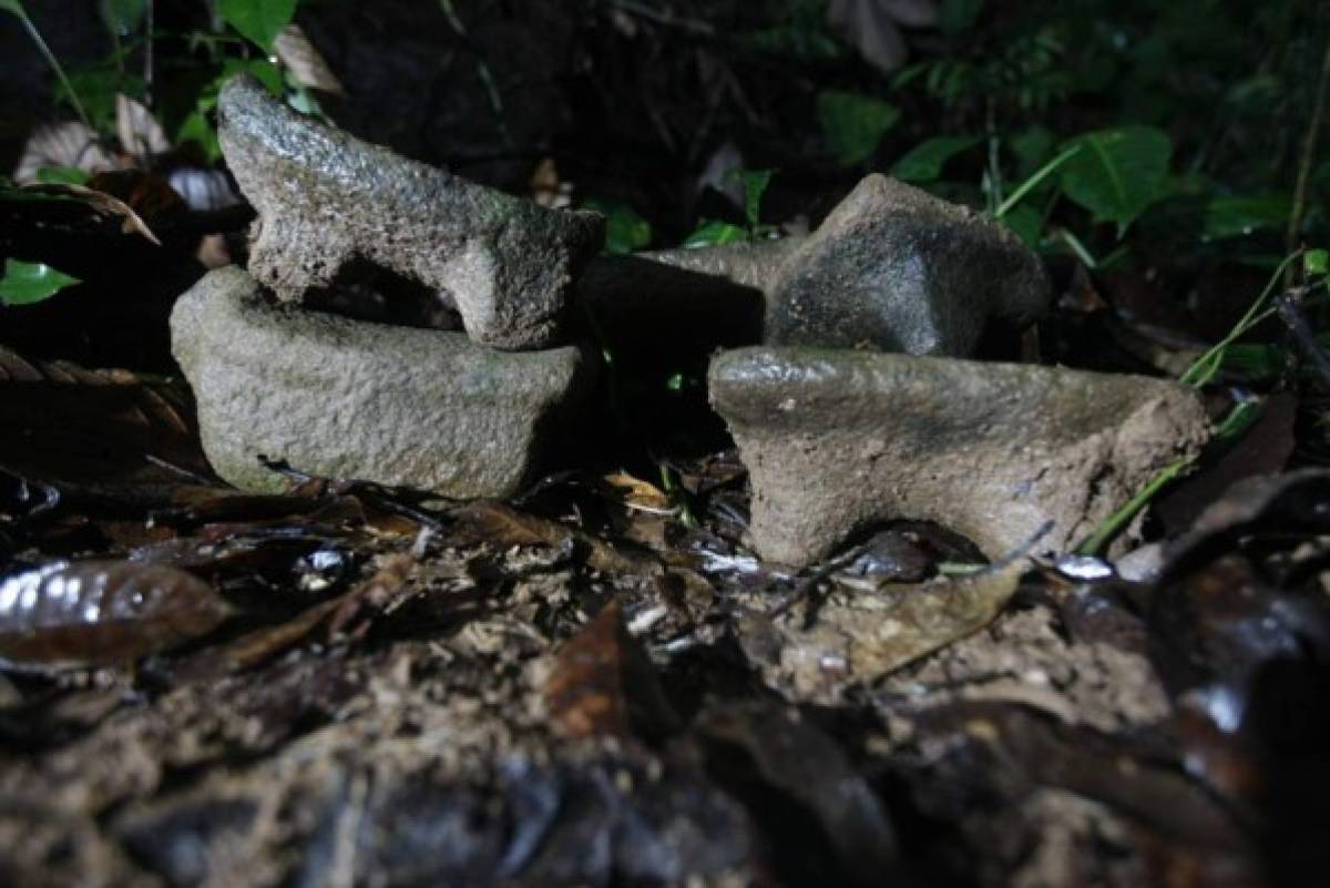 NatGeo confirma hallazgo de 'Ciudad Blanca'