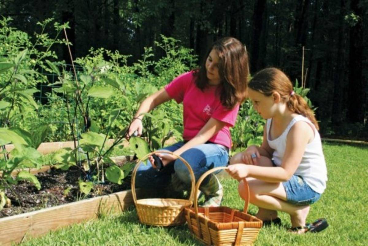 Joven se propone alimentar al mundo