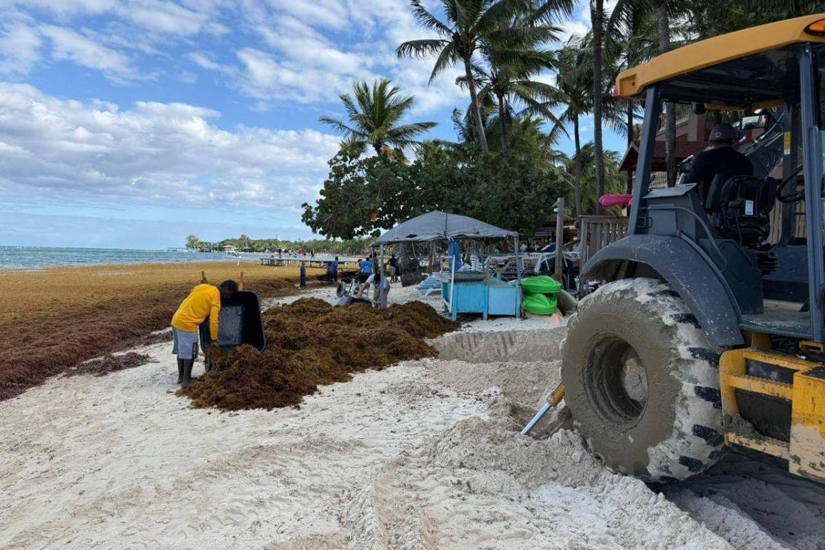 EN FOTOS: Roatán bajo el sargazo; así luce la invasión en las playas de West Bay