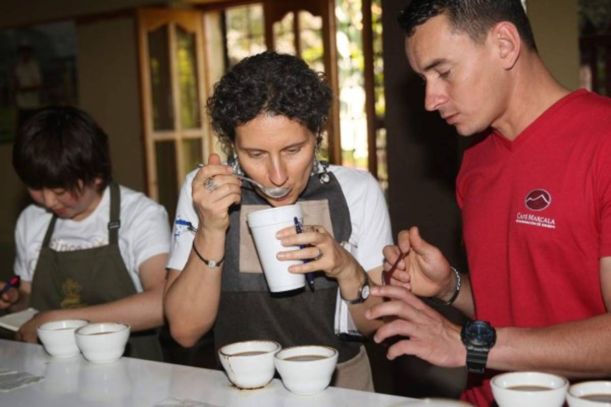 Compradores de Bélgica y Alemania llevaron café de Marcala.