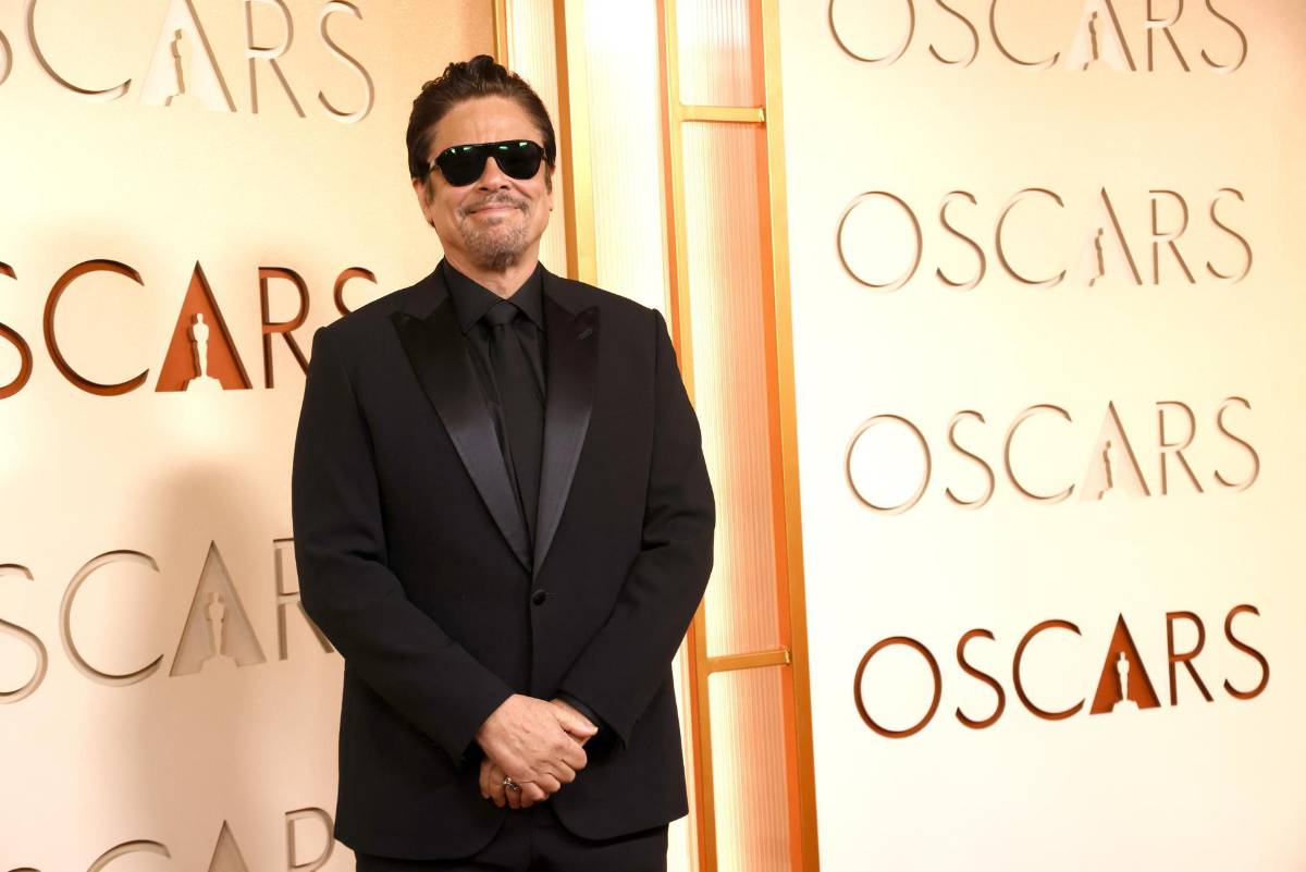 Escotes, pedrerías y plumas: los mejores looks en los Premios Oscar 2026