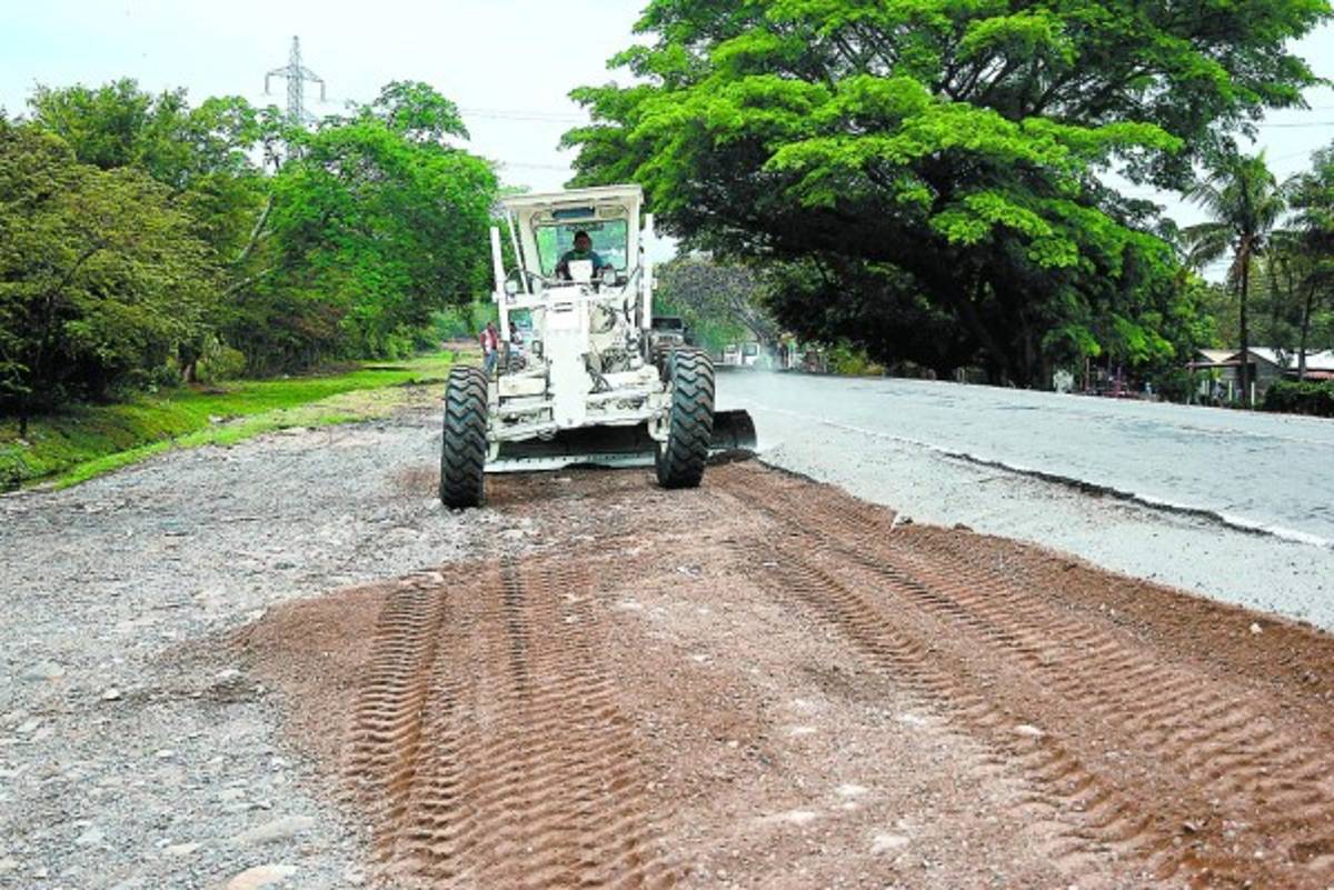 Casi 500 árboles serán cortados para ampliar tramo de la CA-5