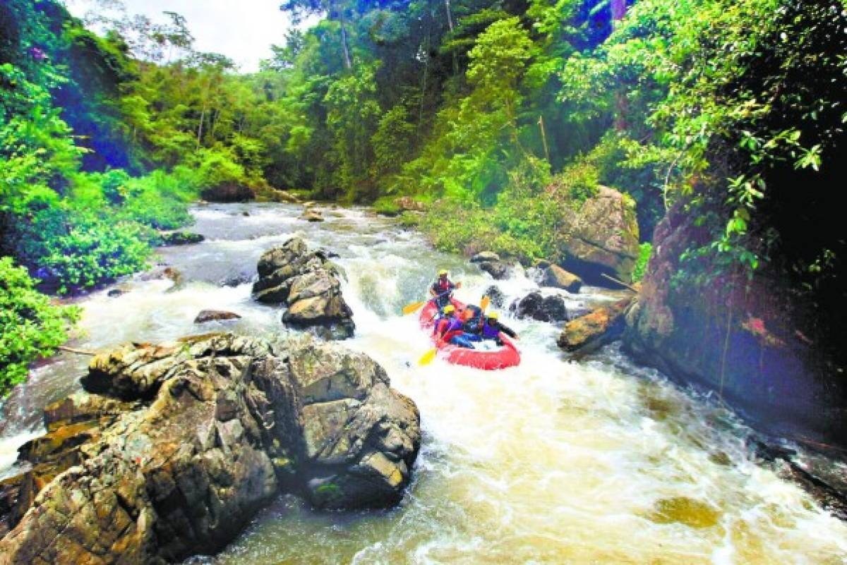 Honduras tiene tres pulmones naturales