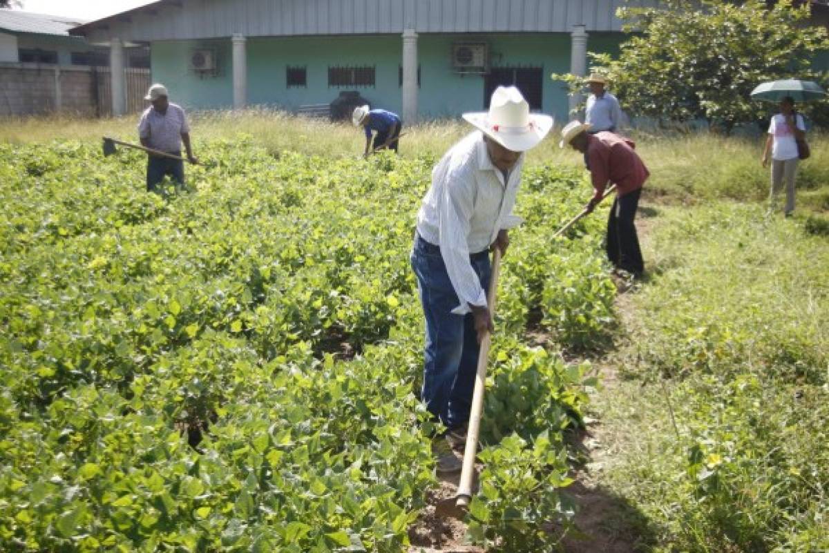 El municipio de El Triunfo votó por el futuro de su explotación minera