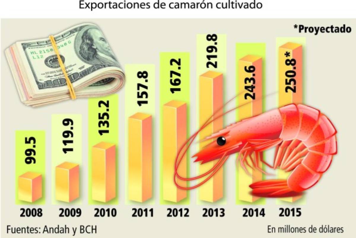 Casi 24% baja volumen de camarón exportado