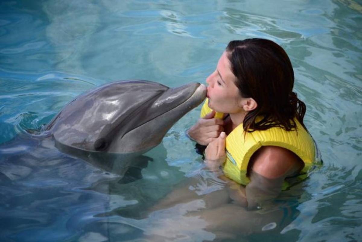 Salvador e Iroshka dicen adiós a la luna de miel