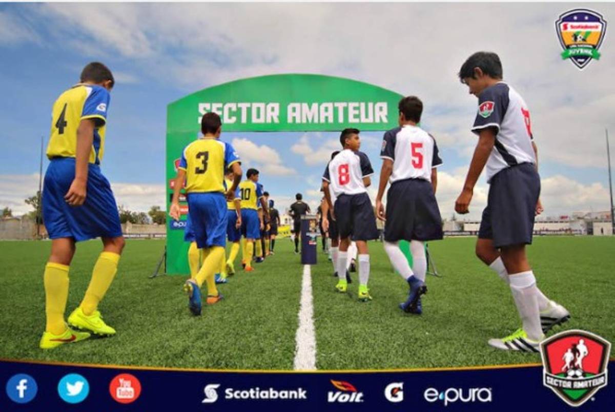 En el 2019, un mini complejo para ellos