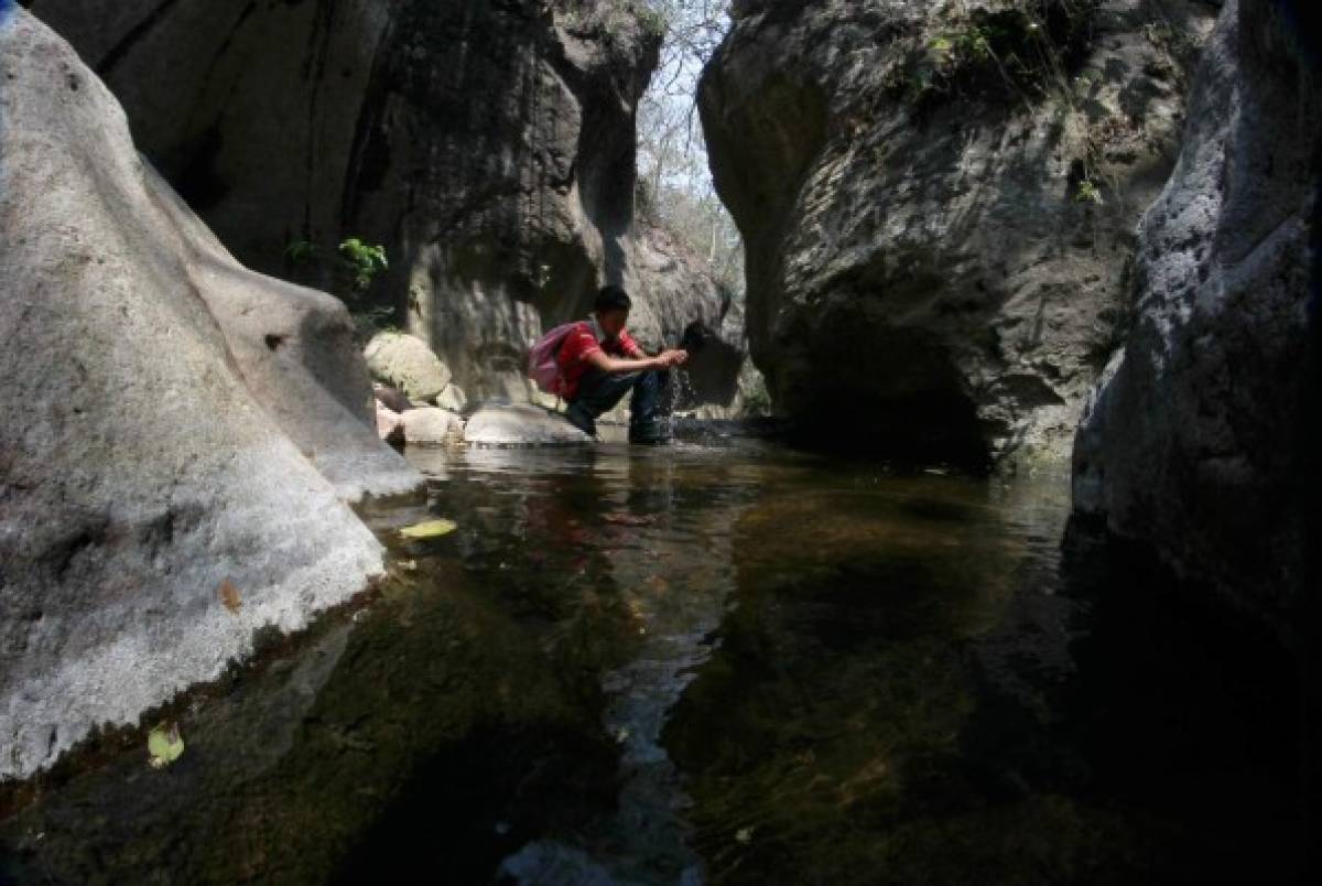 El trayecto hacia la cueva La Esperanza es ideal para practicar el senderismo. Foto: Johny Magallanes/ El Heraldo.
