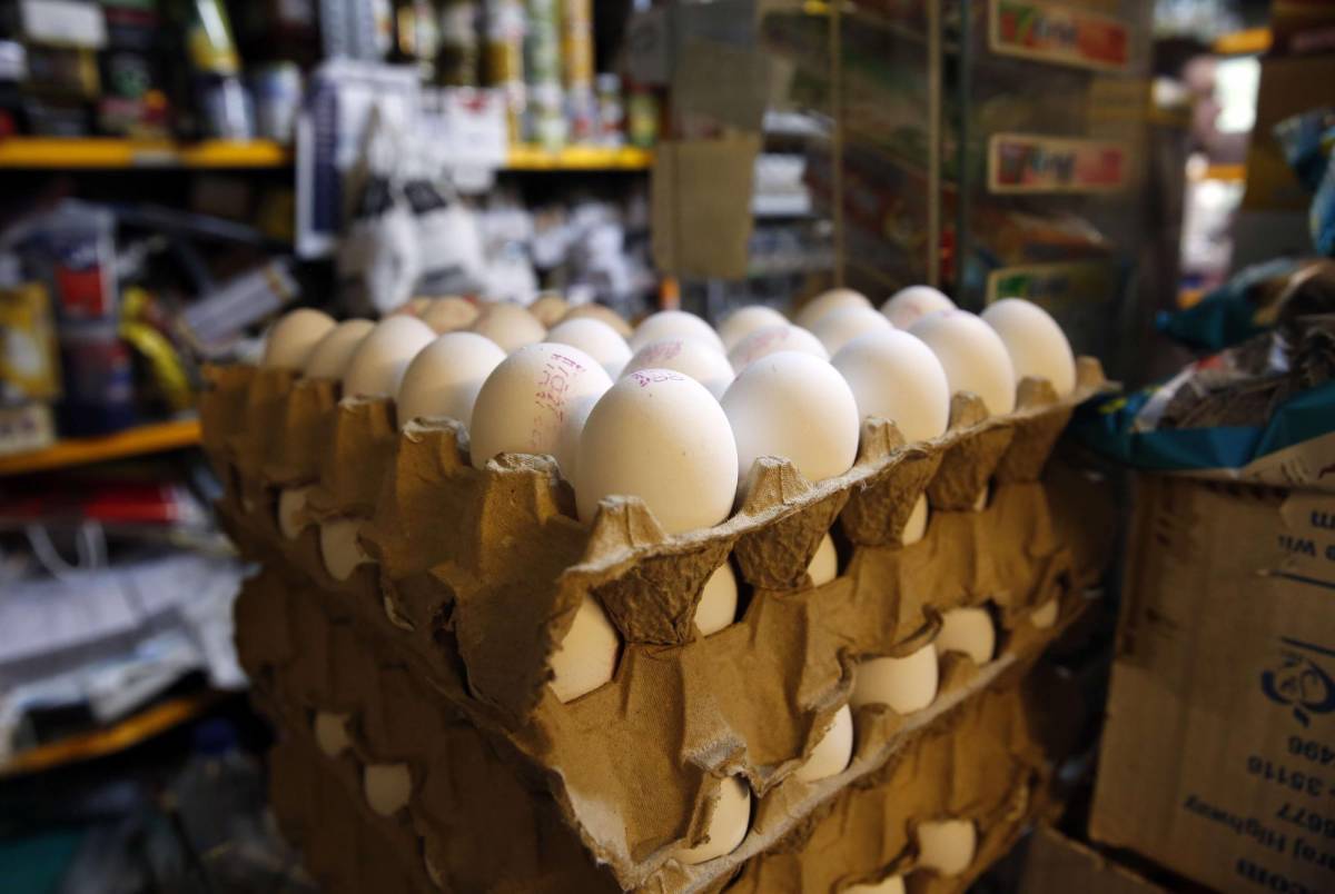 Limitan venta del cartón de huevos por alto precio en la capital
