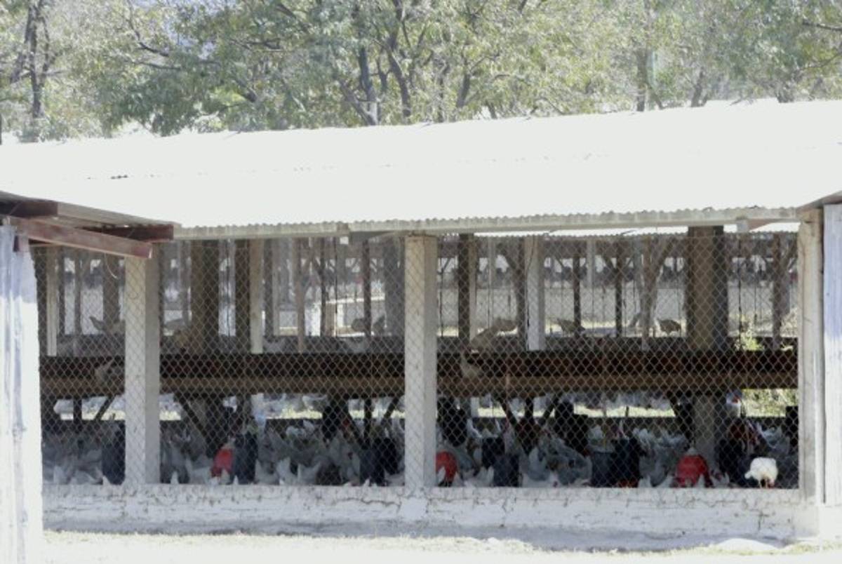 Amarateca, de polo industrial a zona residencial