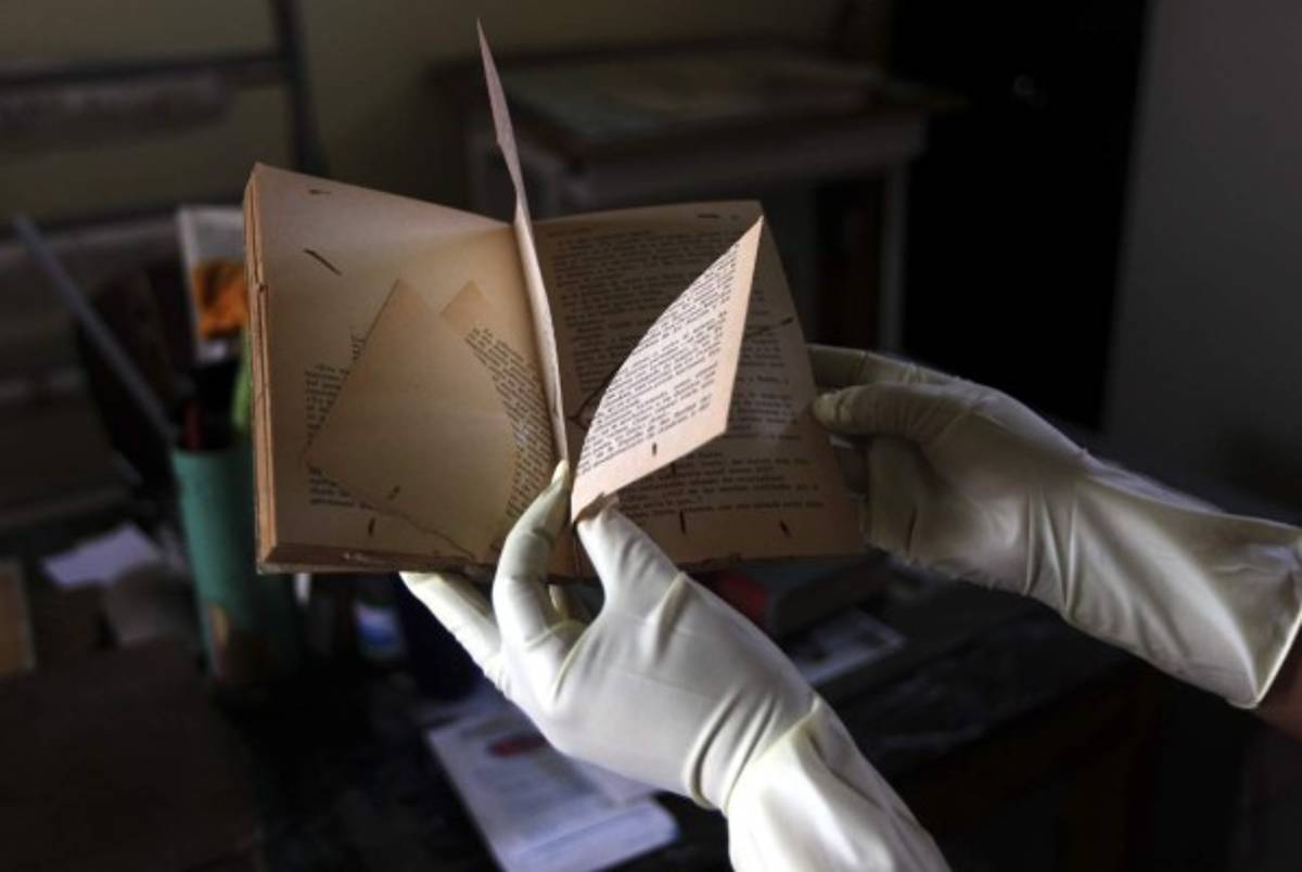 Cirujana de libros y curadora de historias