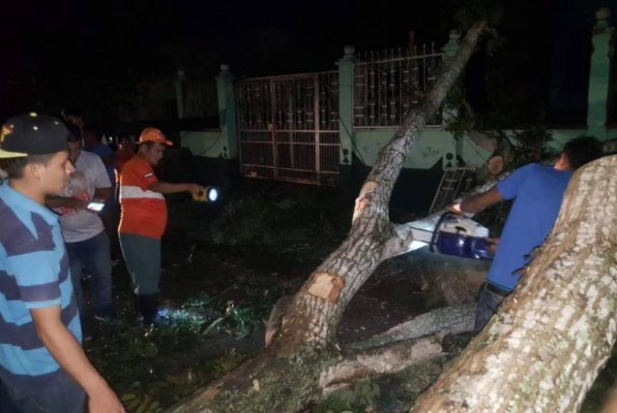 Lluvias dejan inundaciones y provocan caída de un enorme rótulo en San Pedro Sula