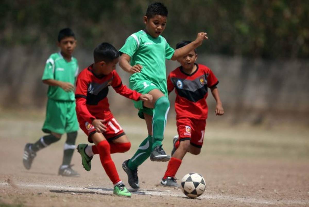 En el 2019, un mini complejo para ellos