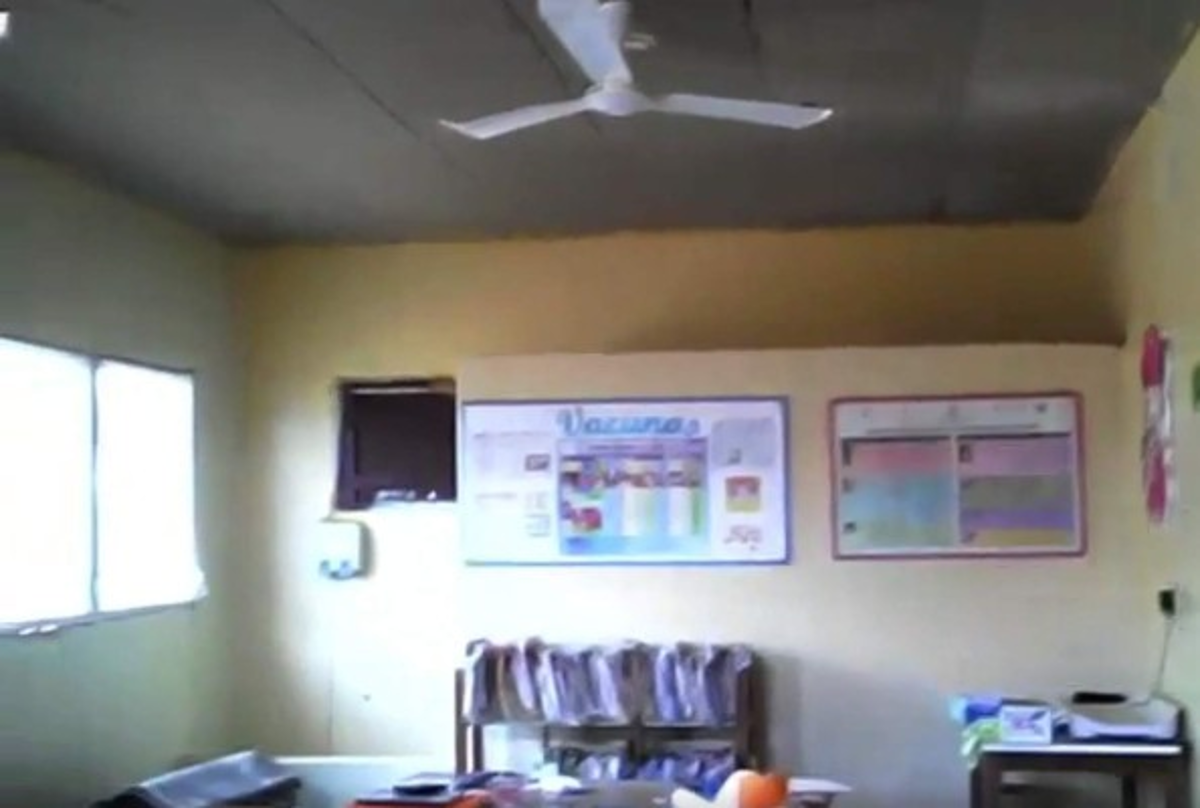 Honduras: Plaga de murciélagos asecha centro de salud del Madreal en Choluteca