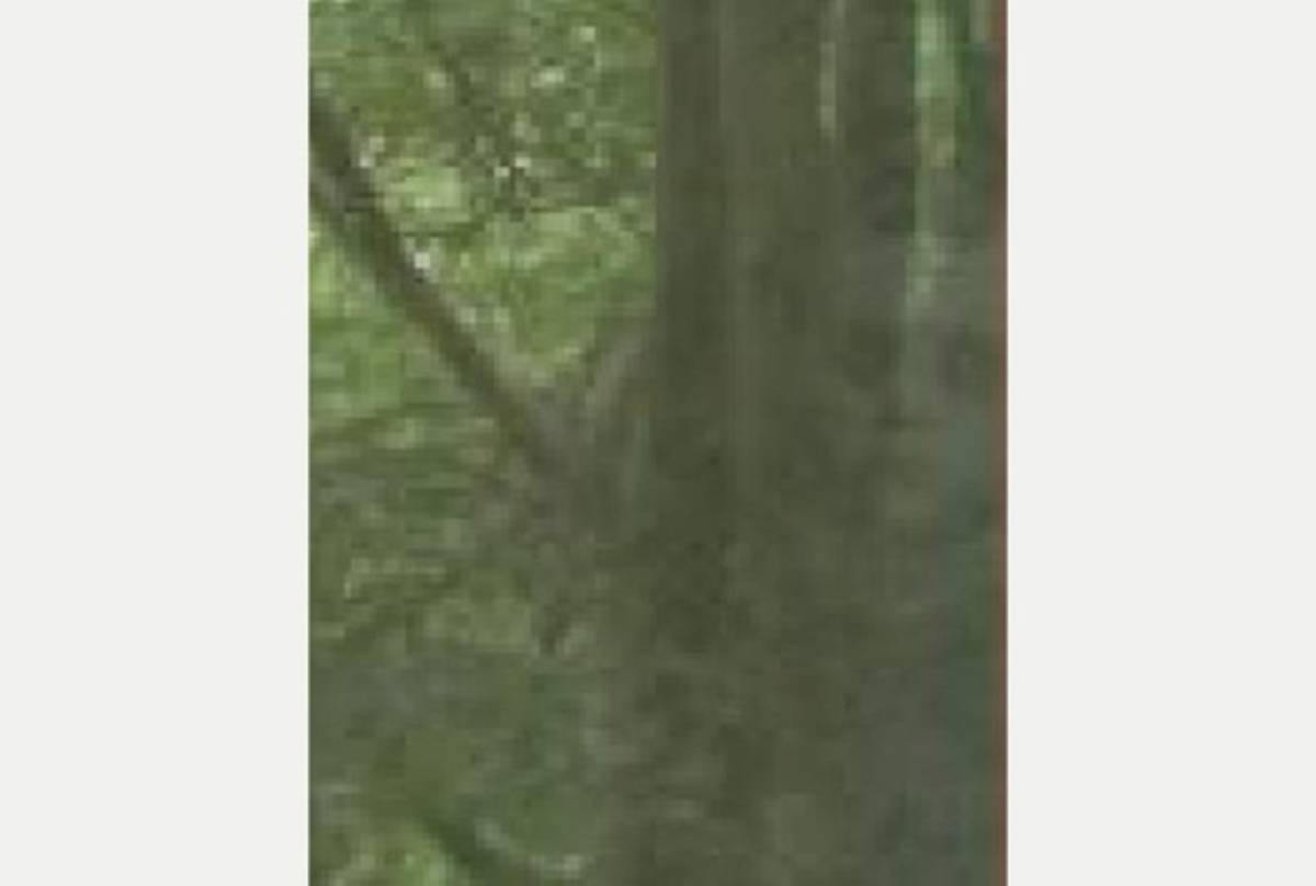 La escalofriante foto