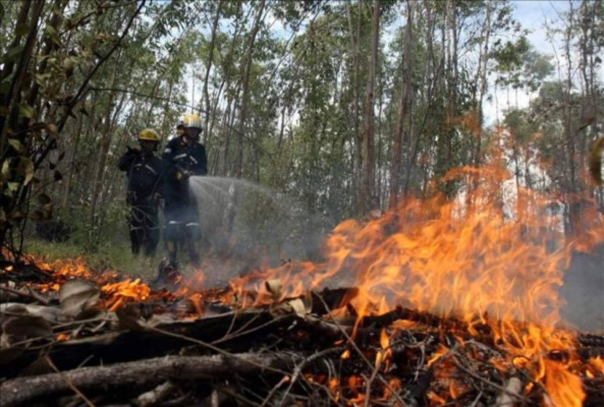 El 27% de los incendios atendidos a nivel nacional son de la capital