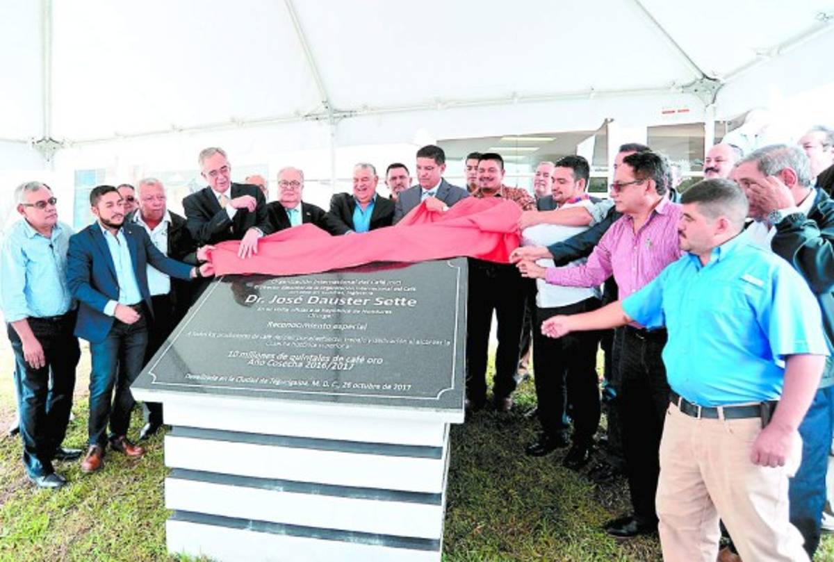 La OIC analizará propuestas de los caficultores del país