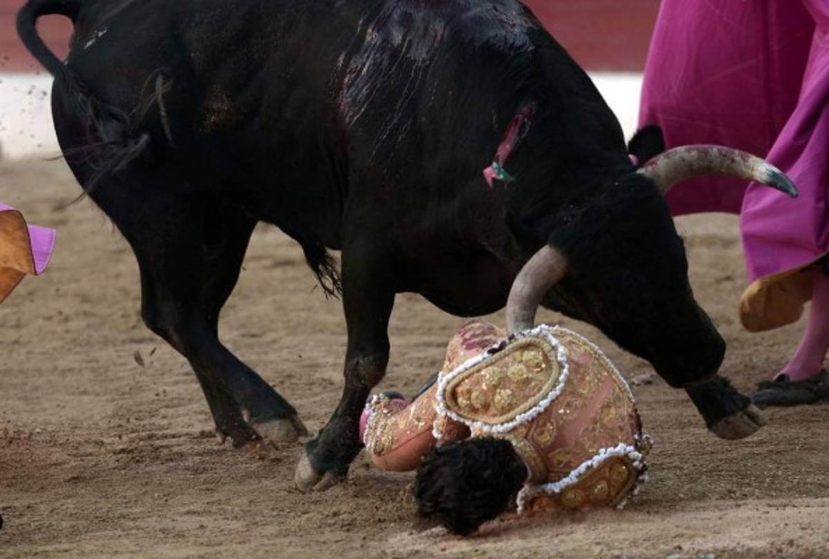Las últimas palabras del torero Iván Fandiño antes de morir