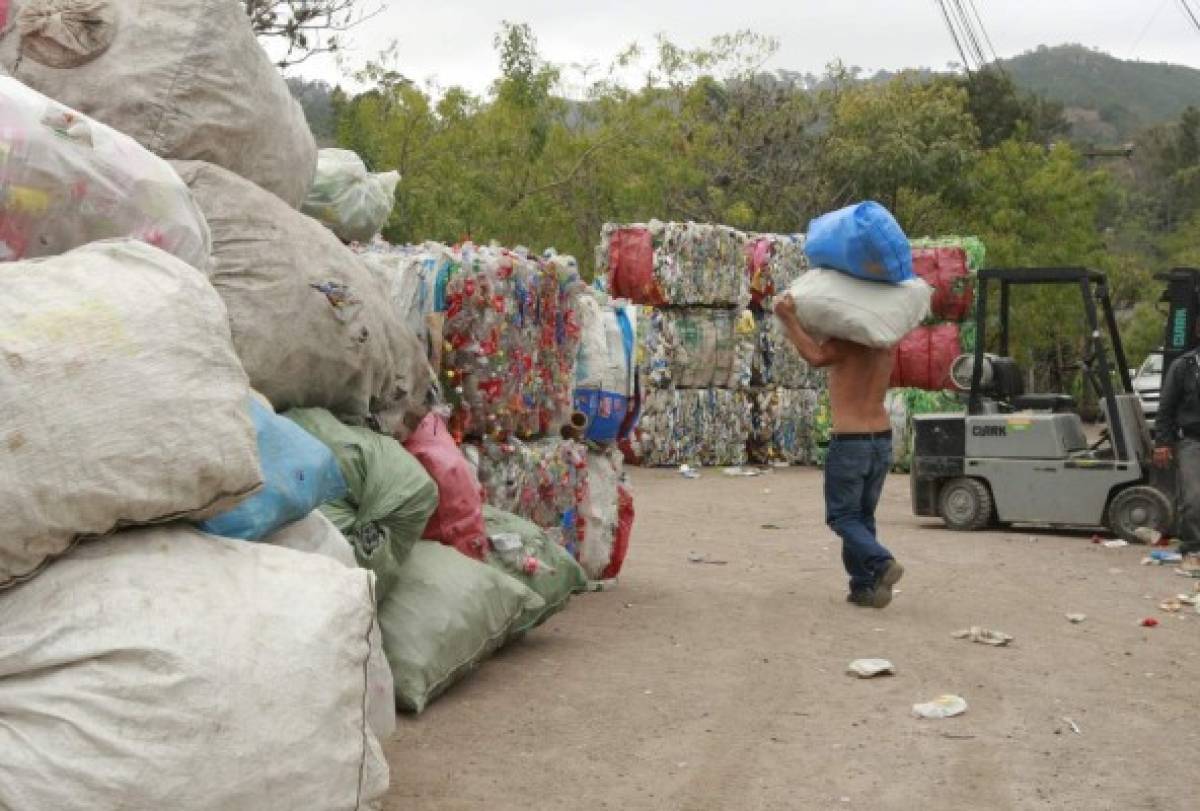 Este año enseñarán a capitalinos a clasificar la basura para reciclarla