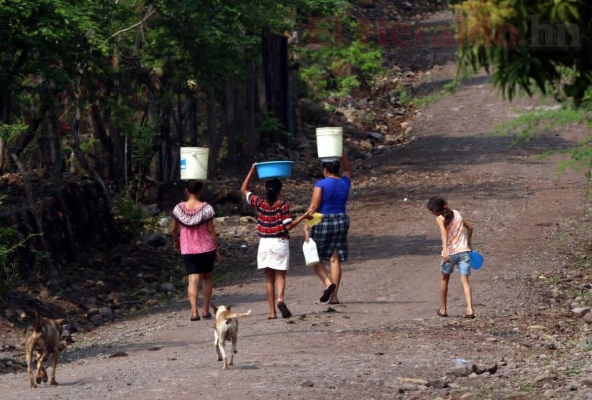 Honduras: Preocupación por escasez de alimentos en el Corredor Seco