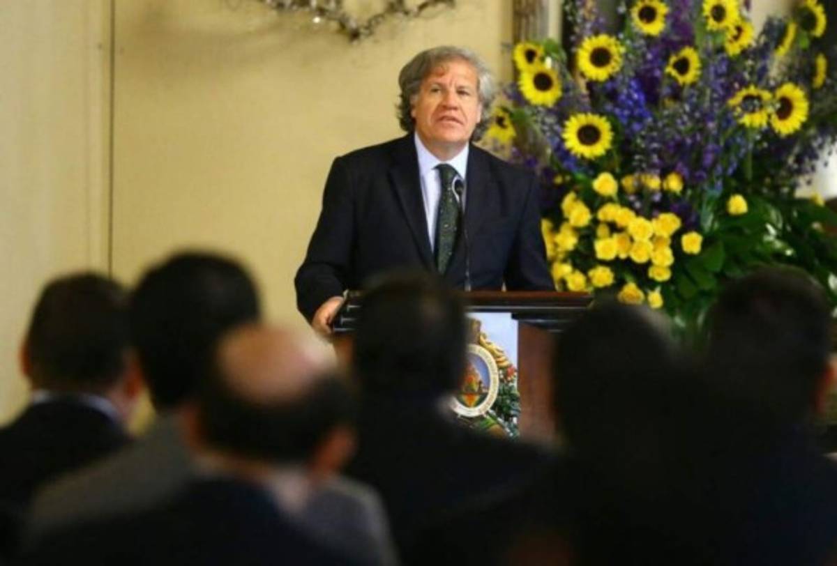 Esta ley ordena por primera vez límites de aportes, gastos y publicidad de campañas electorales dijo Almagro (Foto: Twitter/ El Heraldo Honduras/ Noticias de Honduras)