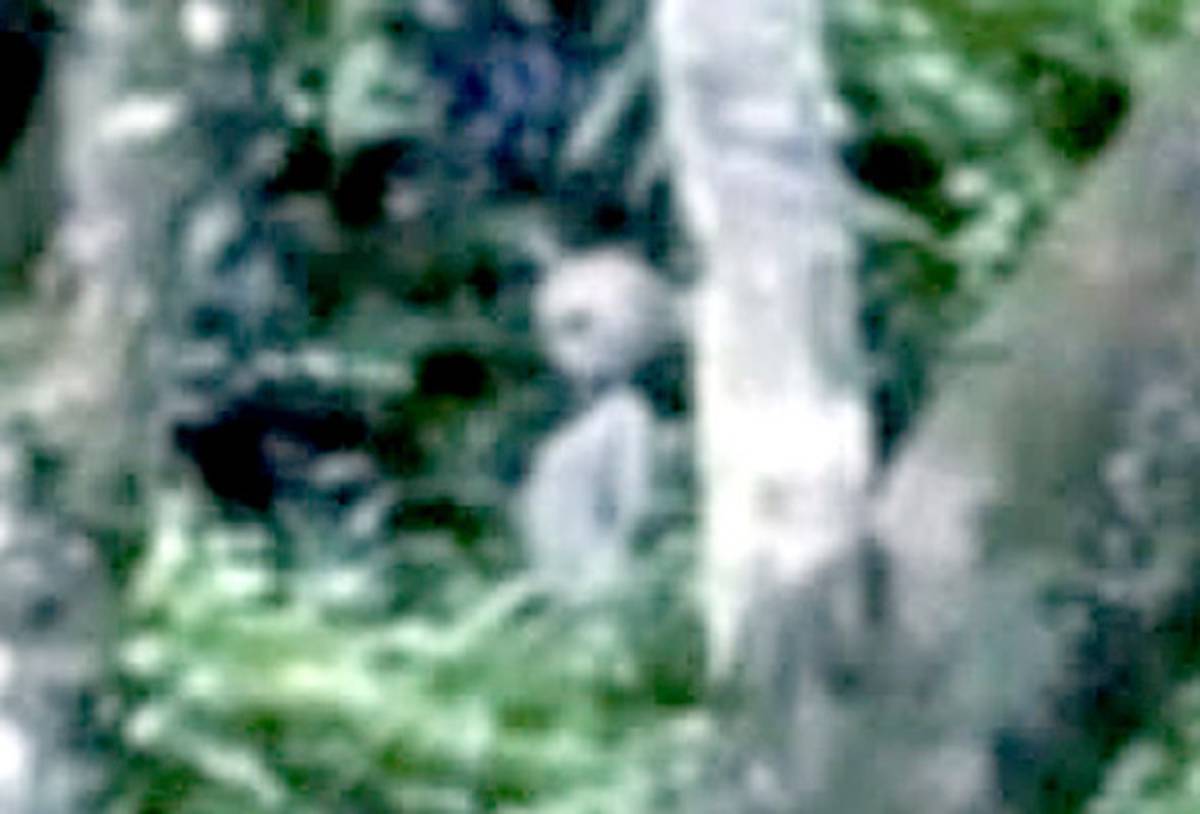 Extraterrestre en Brasil