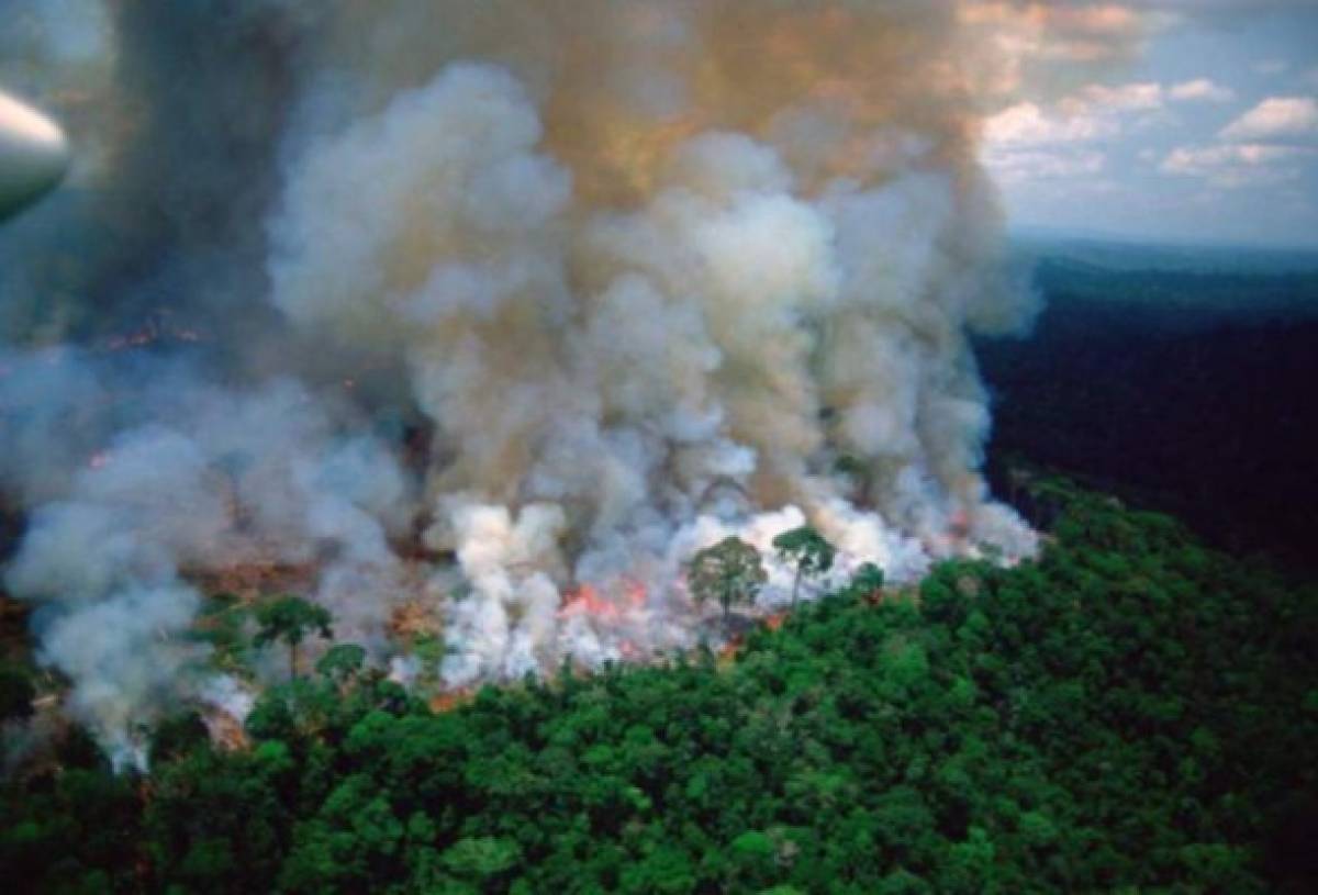 Amazonía brasileña: incendios aumentaron en julio