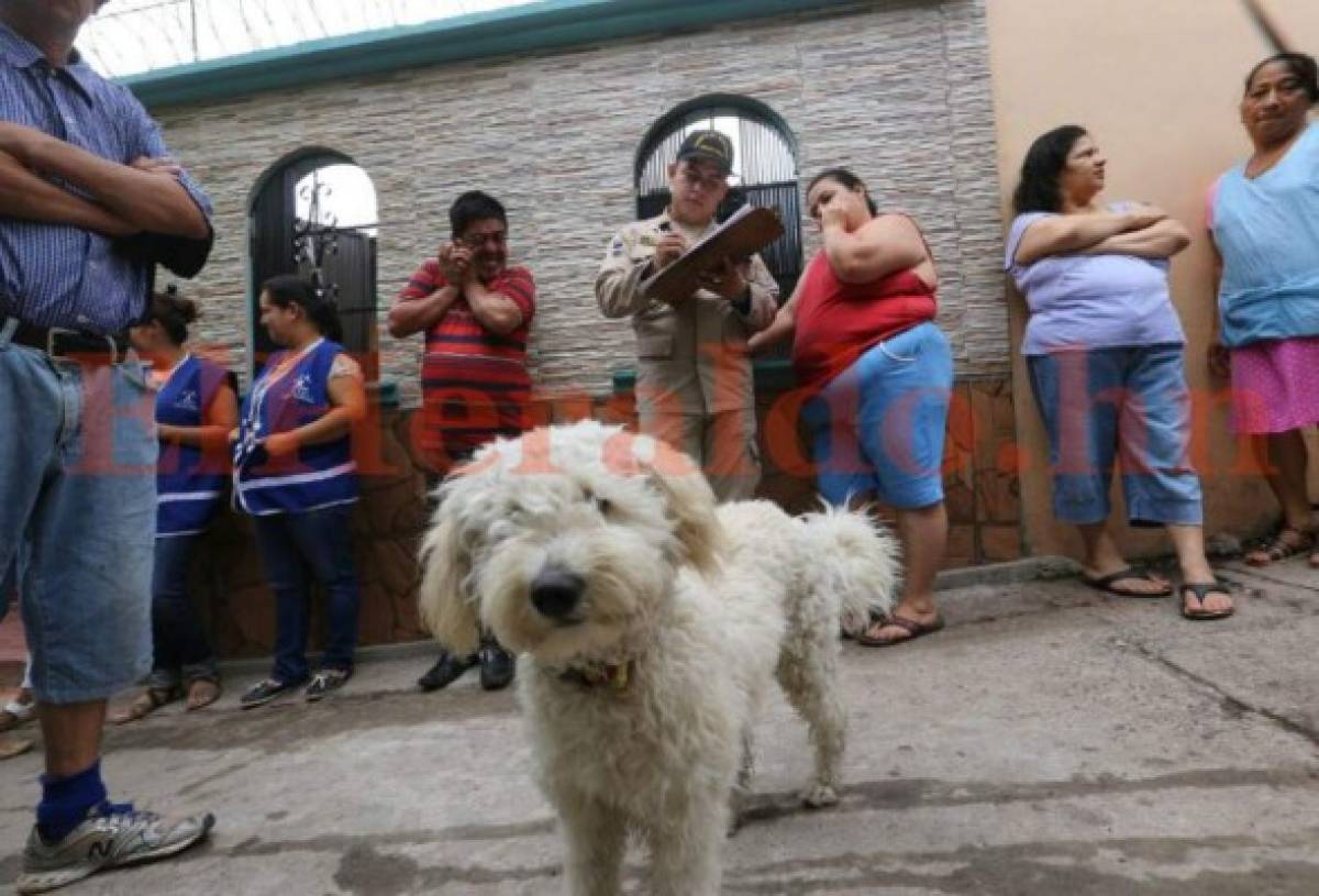 Tegucigalpa: Perro se convierte en héroe al alertar de incendio en colonia 28 de Marzo; no hay víctimas
