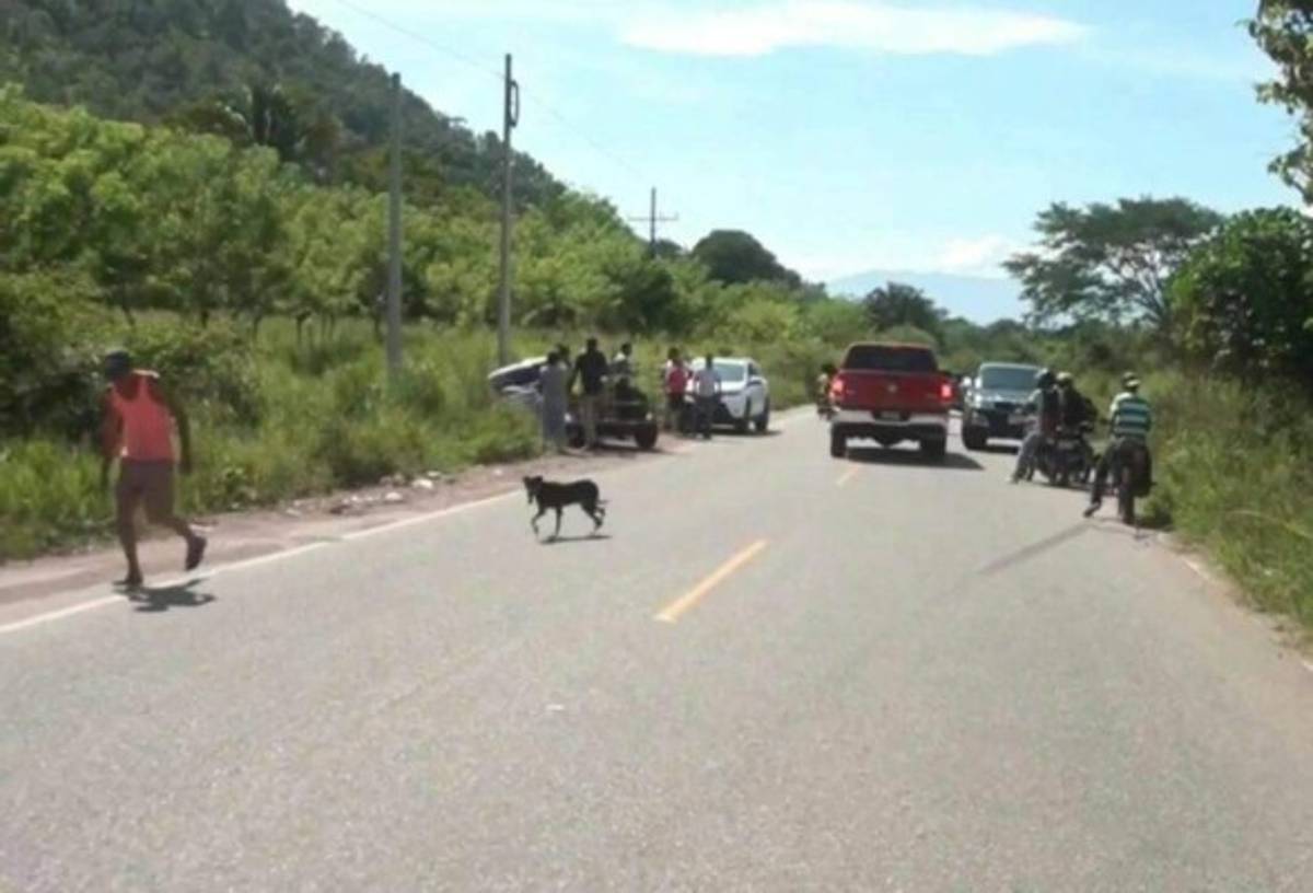 Matan a reconocido ganadero en carretera de Olanchito, Yoro