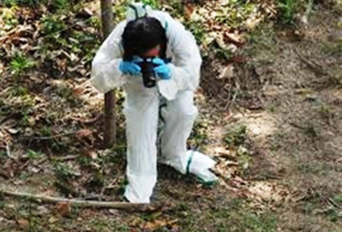 Los cuerpos quedaron en una zona boscosa (Foto: DPI/El Heraldo Honduras/ Noticias de Honduras)